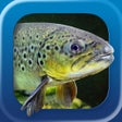 Icon of program: Heintges Angeltrainer