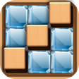 程序图标：Brain Wood Puzzle