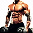 程序图标：Gym Trainer Pro - Gym Wor…