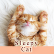 Programikonen: Sleepy Cat Theme