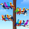 Bird Sort - Color Puzzle