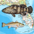 程序图标：Florida Reef Fishing Scub…