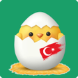 Icon of program: Learn Turkish Vocabulary …