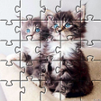 程序图标：Cute cats app jigsaw puzz…
