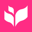 Programikonen: Flash Fiction