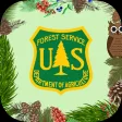 Pacific Northwest Forests