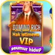 Domino Rich Apk Tips Play