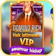 Ikon program: Domino Rich Apk Tips Play