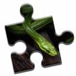 Ikon program: Snake Love Puzzle