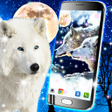 程序图标：Wolf live wallpaper
