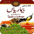 程序图标：Tib e Nabvi S.A.W  Tib e …