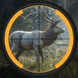 ไอคอนของโปรแกรม: Hunting Champions : Clash…