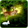 Forest Deer Live Wallpaper