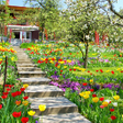 Ikona programu: Spring Flowers Garden Wal…