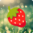 Biểu tượng của chương trình: Latar Belakang Stroberi