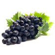 程序图标：Vineyard: from A to Z