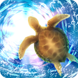 程序图标：Aquarium Sea Turtle simul…