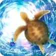 Aquarium Sea Turtle simulation
