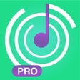 プログラムのアイコン：Hearing PRO:ear training.…