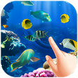 Aquarium Magic Touch Live Wallpaper