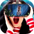 Pack of VR videos