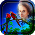 Ícone do programa: Love Birds Photo Frames