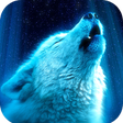 程序图标：Wolf Wallpaper HD
