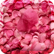 Icon of program: Flower Petals 3D Wallpape…