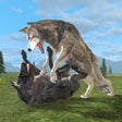 Icon of program: Clan Of Wolf