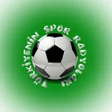 程序图标：Spor Radyoları Dinle