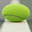 プログラムのアイコン：Racquet GameTennispickleB…