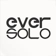 プログラムのアイコン：Eversolo Control