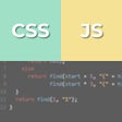 ไอคอนของโปรแกรม: Custom WP CSS amp JS