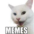Cat Memes WASticker