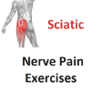 Sciatic Nerve Pain Exercises