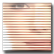 Symbol des Programms: FaceMixer