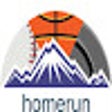 أيقونة البرنامج: Homerun Extension