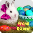 プログラムのアイコン：Frohe Ostern Bilder