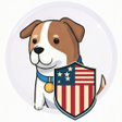 Ikon program: Fast VPN USA - Privacy  V…