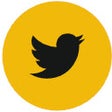 Twitter Token Login icon