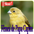 Ícone do programa: Fêmea de Papa Capim   Pap…