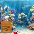 Icon of program: coral reef live wallpaper