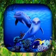 Icon of program: Dolphin Wallpaper Live HD…