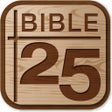 程序图标：바이블25