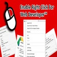 Enable Right Click for Web Developer™ icon