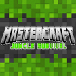Ikon program: Mastercraft - Building Wo…