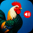 Ikona programu: Animal Ringtones: Ai Soun…