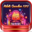 Icoon van programma: Mslots Guardian 1818