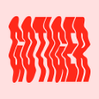 程序图标：GoTiger