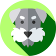 Icon of program: iCodePal